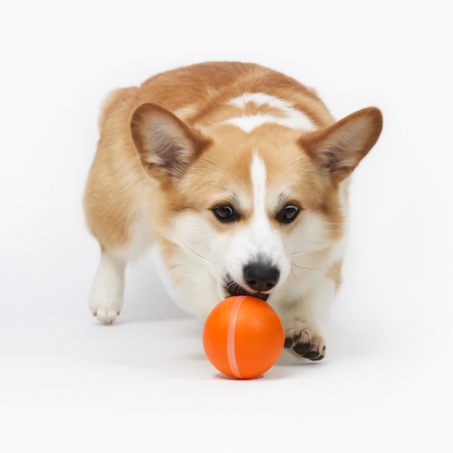 Pet Toy Ball Automatic Moving Dog Toy Ball Smart USB Jumping Rotating Interactive Dog Chew Toy Ball for Puppy Ball Toy